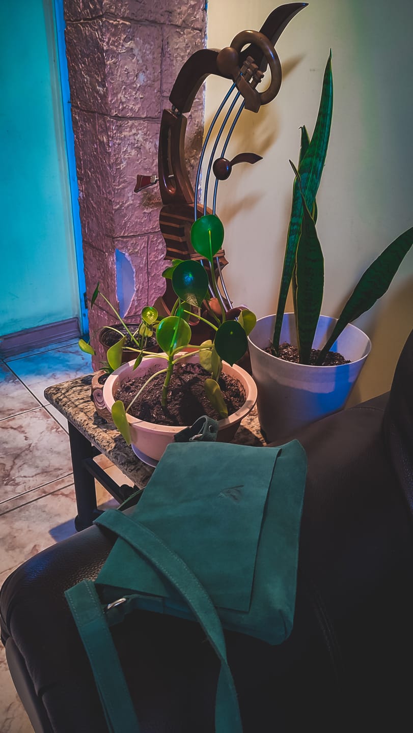 Customer photo review of Bandolera Mujer / Thea Menta