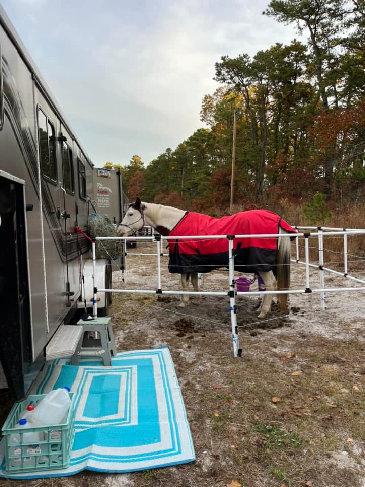 Customer photo review of Ready Made Portable Electric Horse Corral Fencing: (Electric EconoLine 12 Panels; 2 Rails)