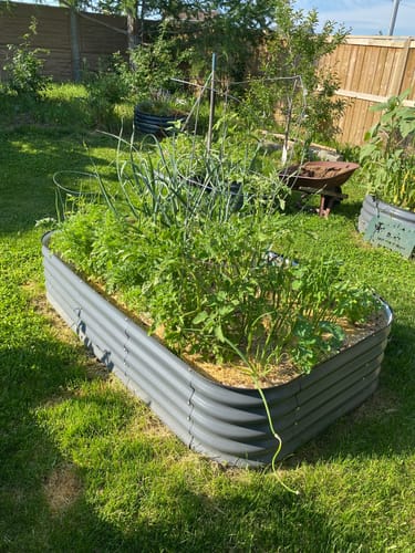 Customer photo review of 17” Tall Modular 9 in 1