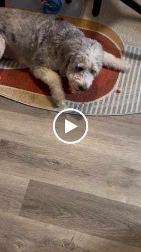 Customer video review of CRUNCHY CHEESE PUFFS