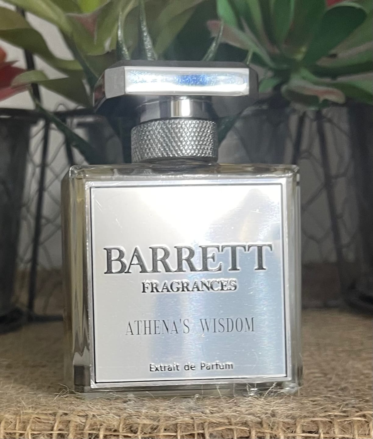 Customer photo review of Athena's Wisdom inspired by Guidance