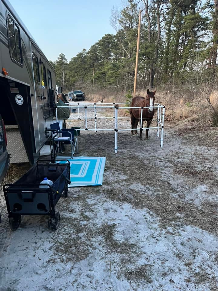 Customer photo review of Ready Made Portable Electric Horse Corral Fencing: (Electric EconoLine 12 Panels; 2 Rails)