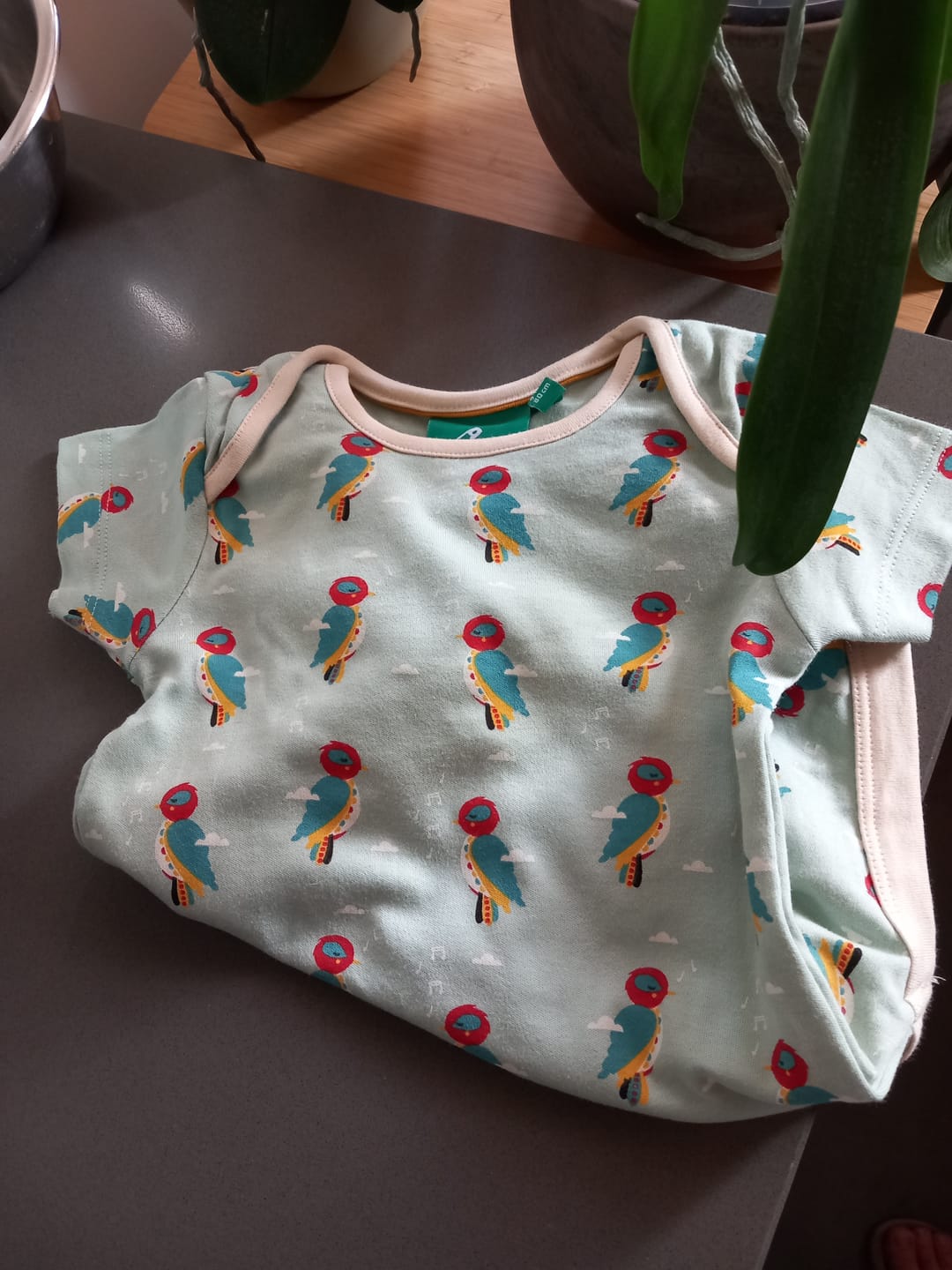 Customer photo review of Little Woodpecker Organic Baby Bodies Set - 2 Pack