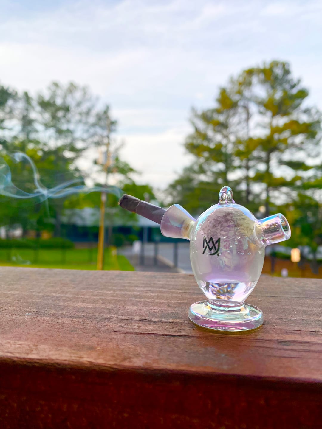 Customer photo review of The Martian® Original Blunt Bubbler™