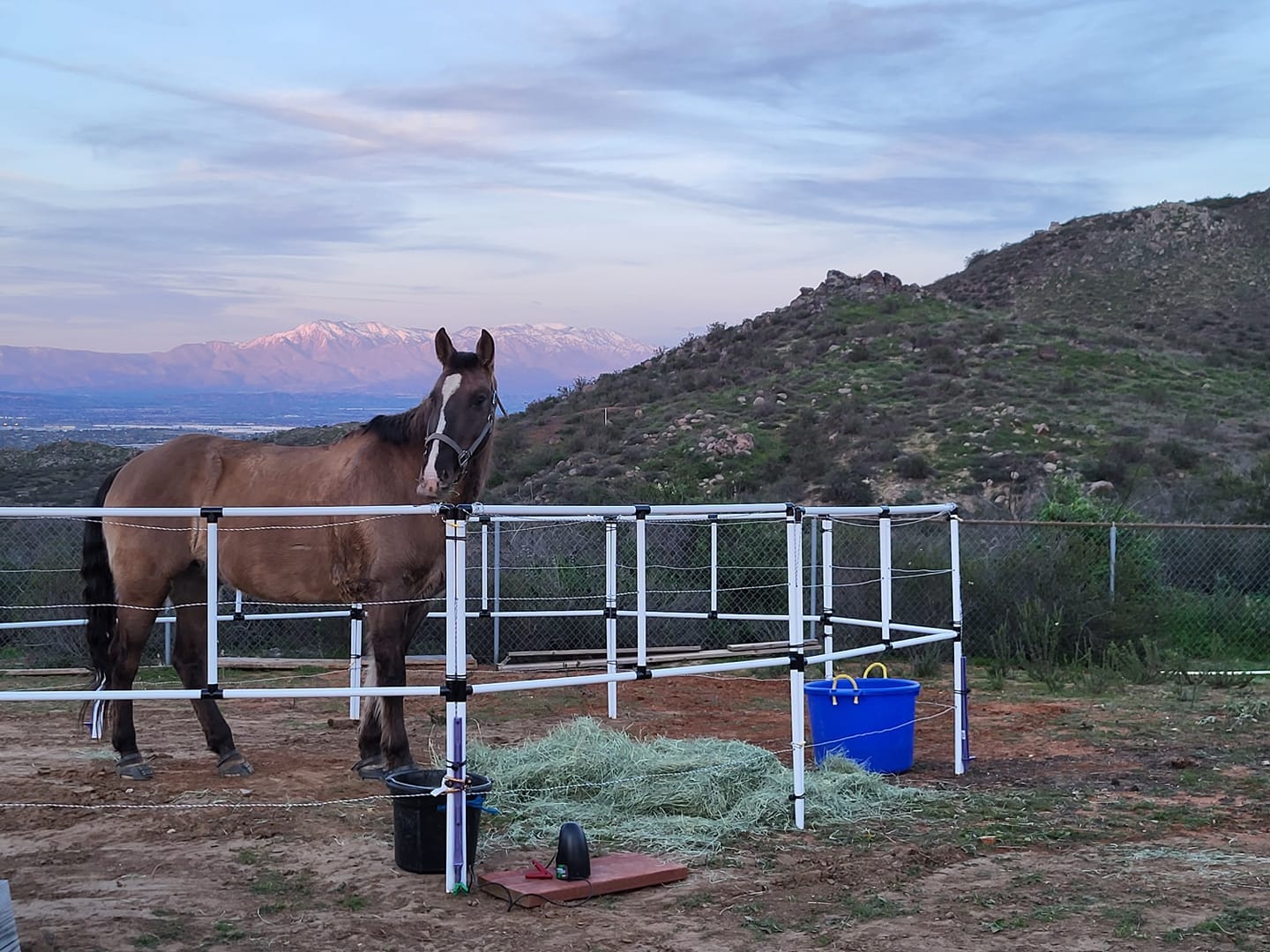 Customer photo review of Ready Made Portable Electric Horse Corral Fencing: (Electric EconoLine 12 Panels; 2 Rails)