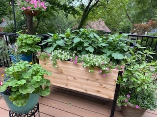 Customer photo review of 18" x 48" Raised Garden Bed