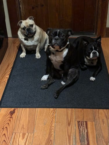 Customer photo review of Beef Cheek Rolls