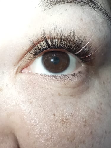 Customer photo review of And so it begins - Everyday Edition