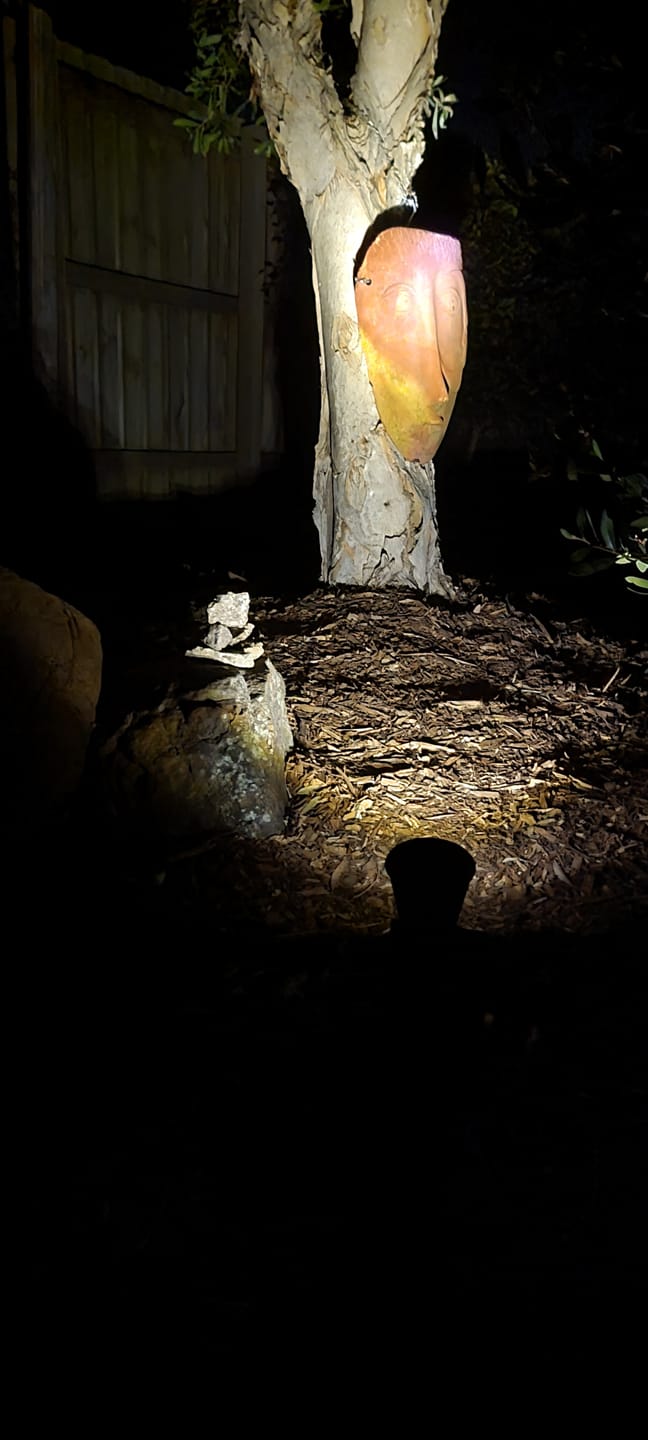 Customer photo review of Solar Ground Spotlights