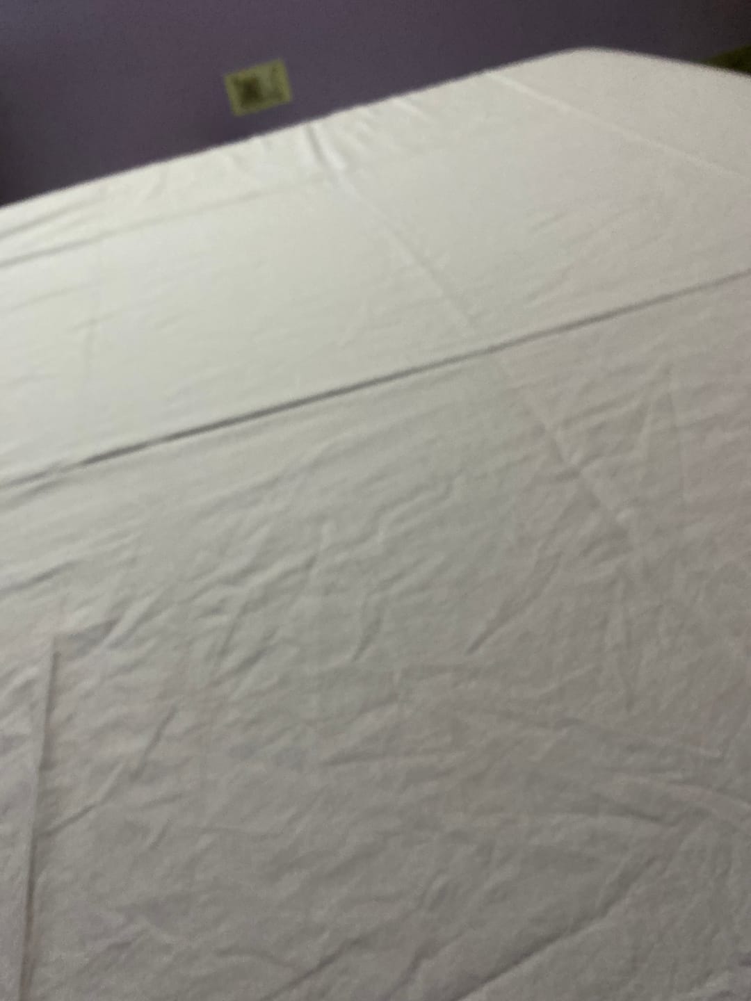 Customer photo review of Flo Super Soft Bedsheet