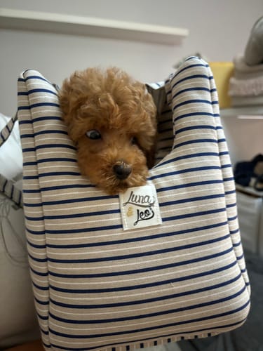 Customer photo review of Trasportino Cotone Urban Little Nautical Stripe