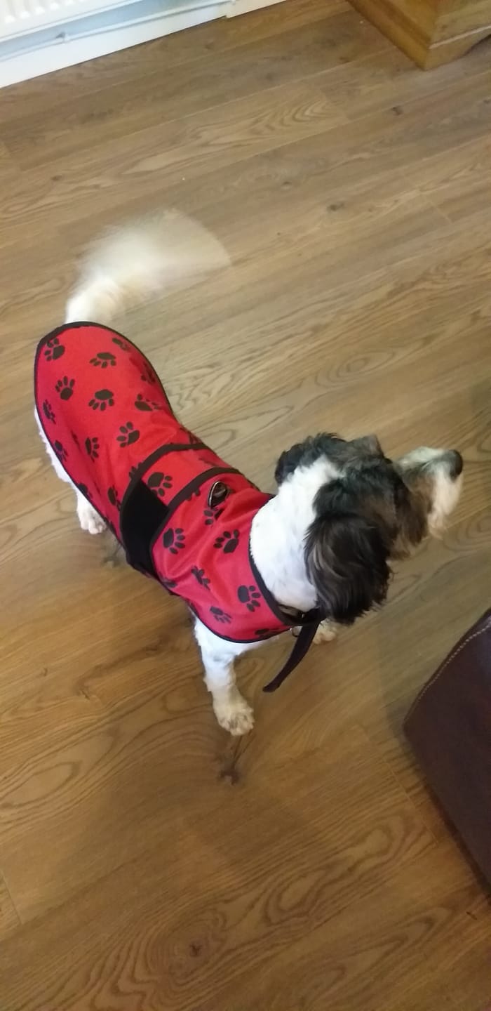 Customer photo review of Paw Print Heavy Duty Waterproof Fabric
