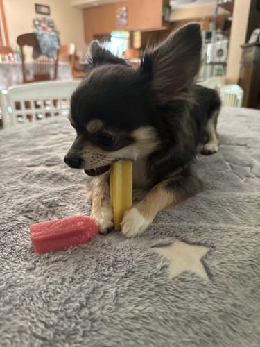 Customer photo review of MIX FLAVORED CHEWS ( A PACK OF 4 STICKS )