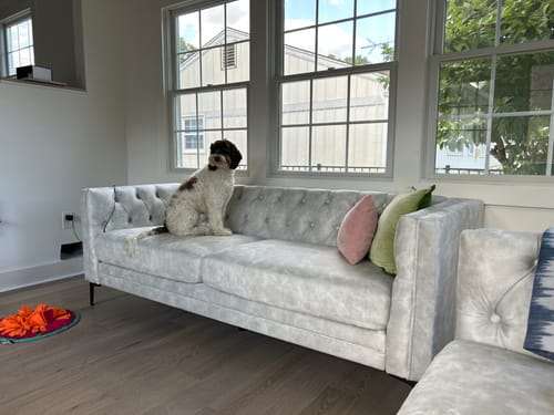 Customer photo review of Capsa 84" Vegan Leather Tufted Sofa