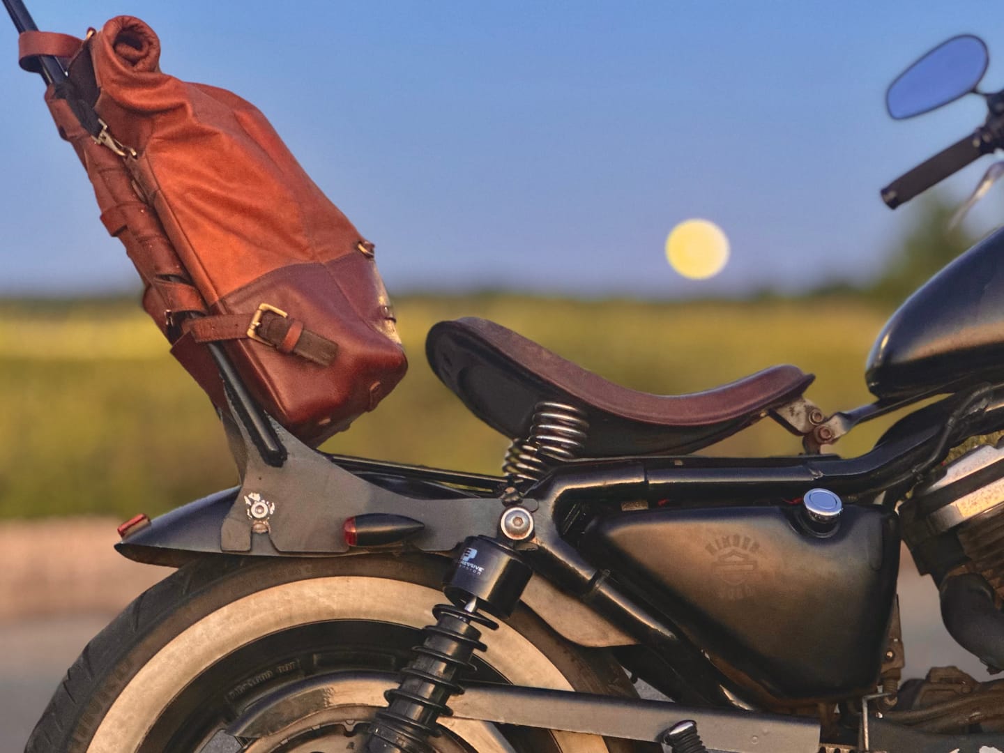 Customer photo review of backpack pannier - classic roll top