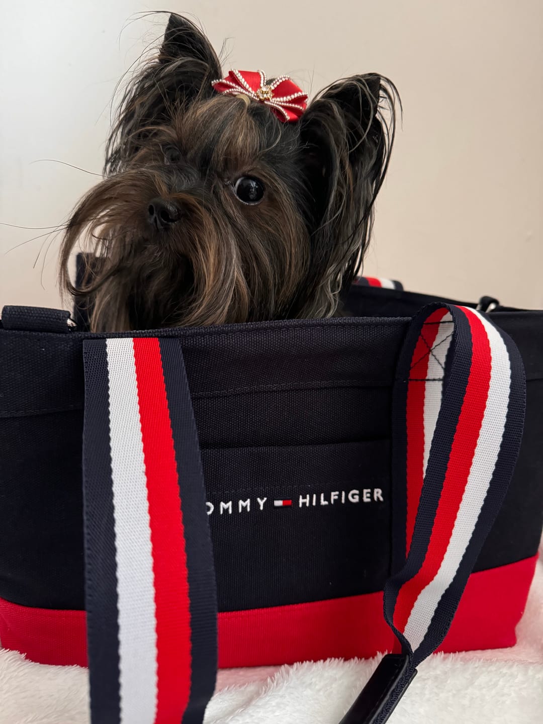 Customer photo review of Tommy Hilfiger Canvas Dog Tote Bag
