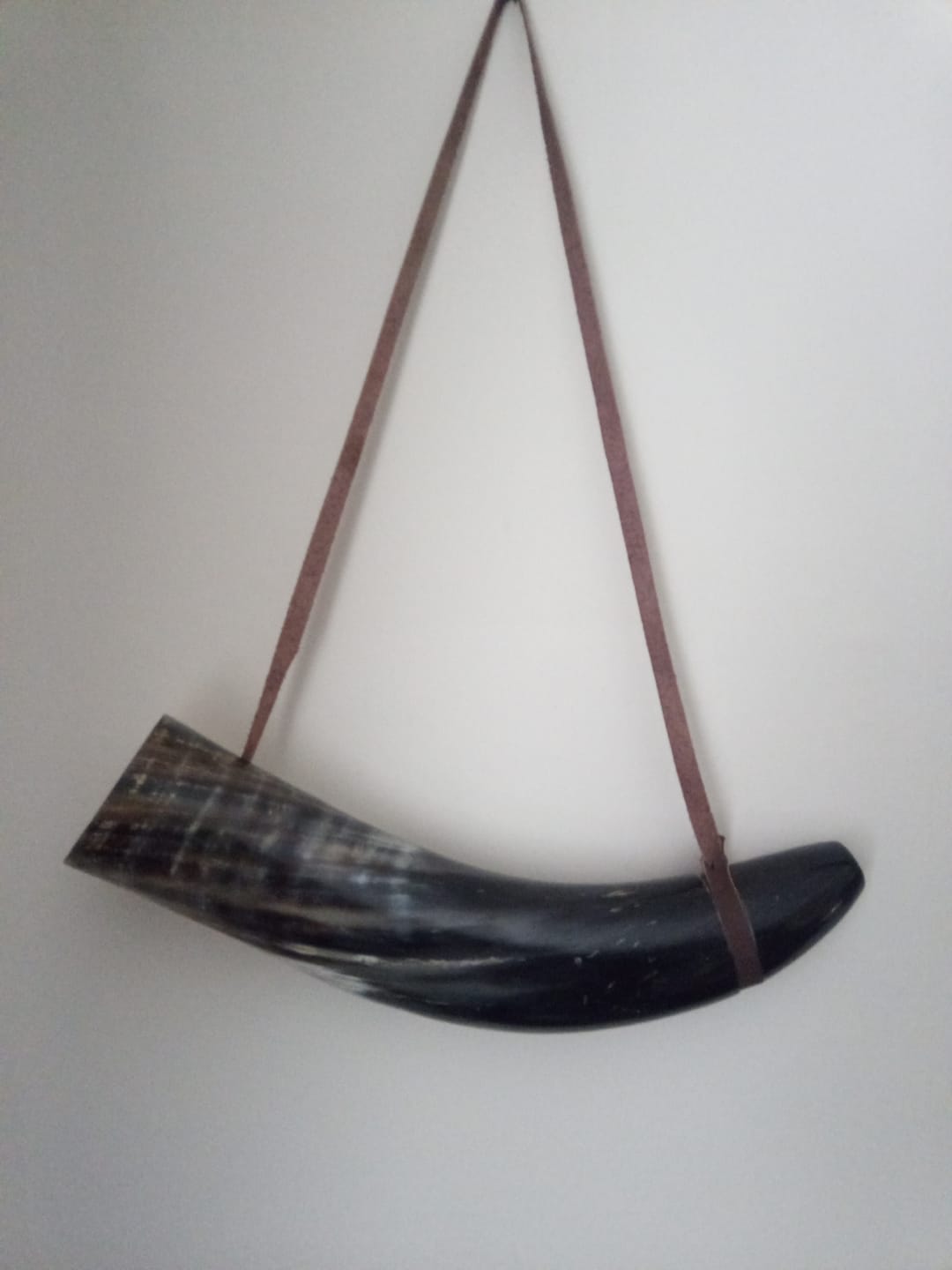 Customer photo review of War Horn - Extra Large