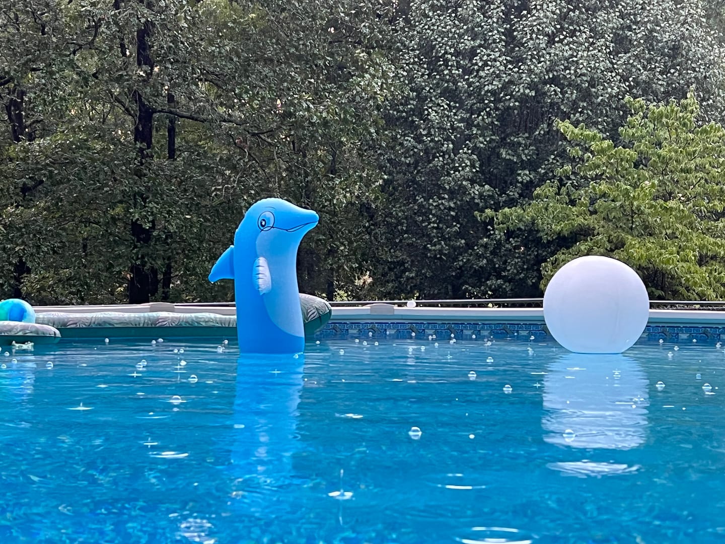 Customer photo review of Frog Leap Torpedo pac 01-03-7937 (6 pack)