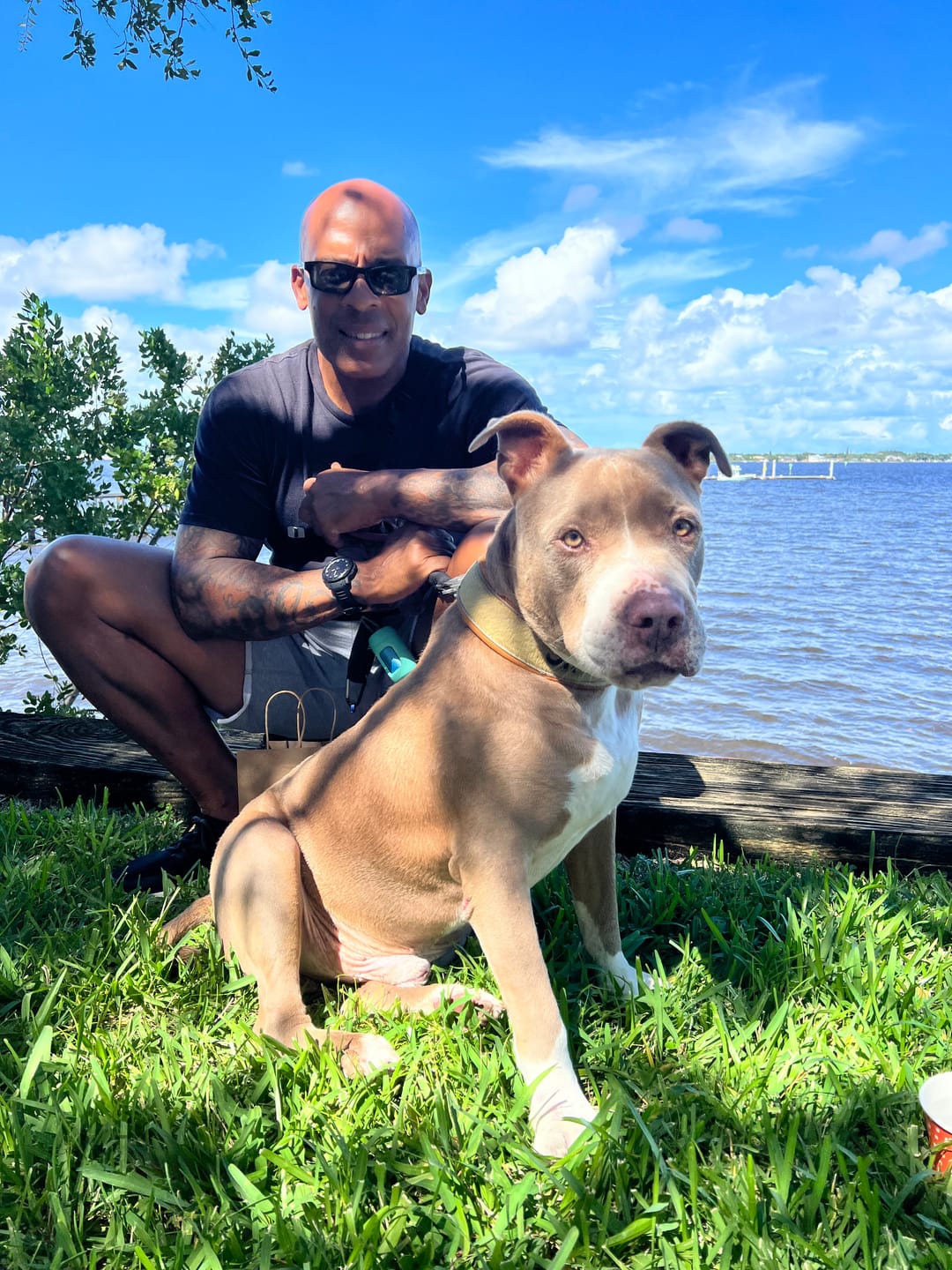 Customer photo review of 4cm Combat® Collar | With Handle & Rated Clip - Military Tan v2.0