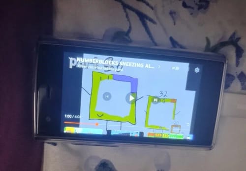 Customer photo review of NanoPhone™