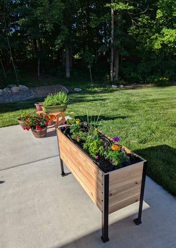 Customer photo review of 18" x 48" Raised Garden Bed