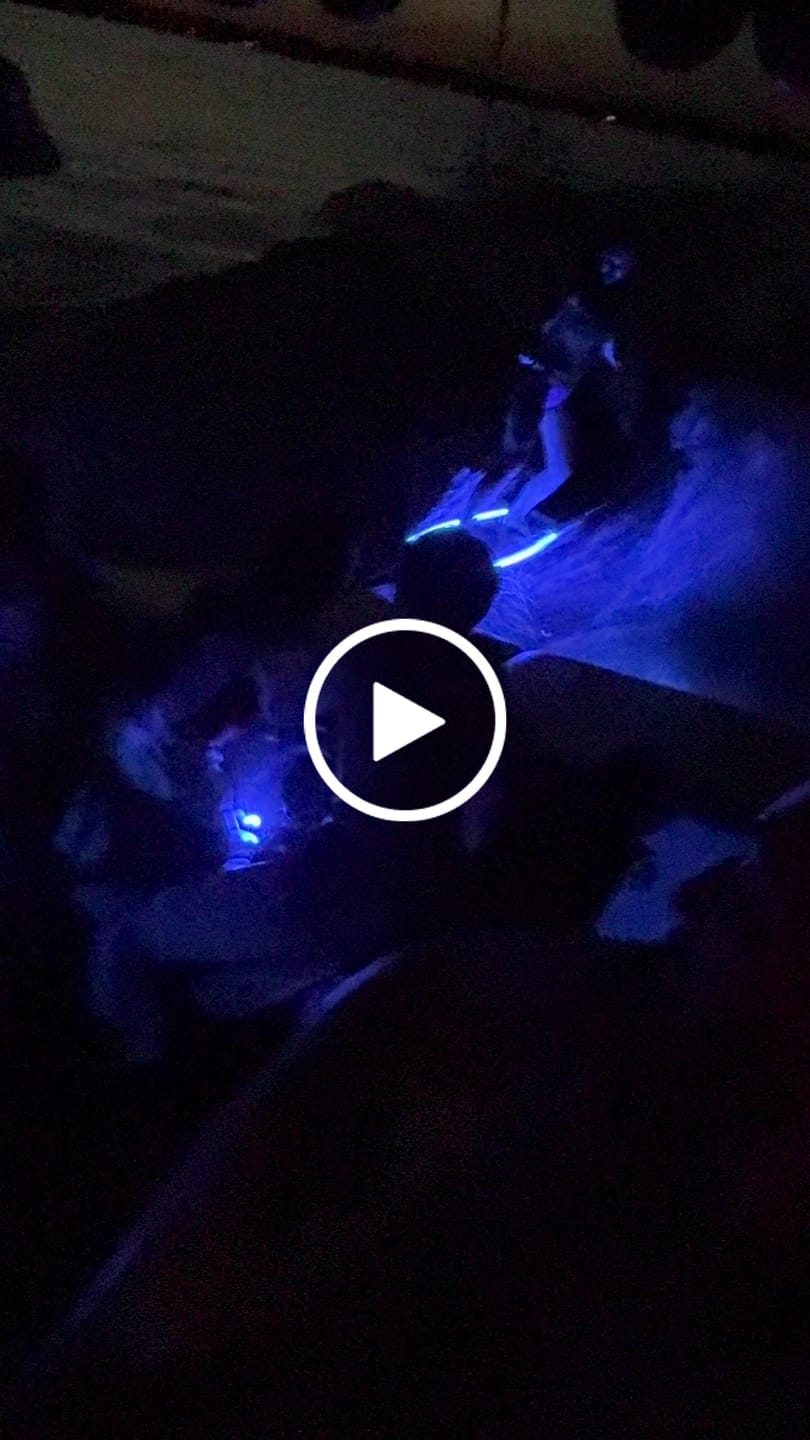 Customer video review of LED WAKESURF SYSTEM