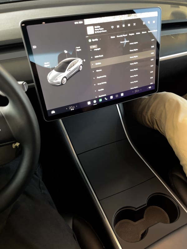 Customer photo review of Blackout Kit for Tesla Model 3 & Y Gen 1