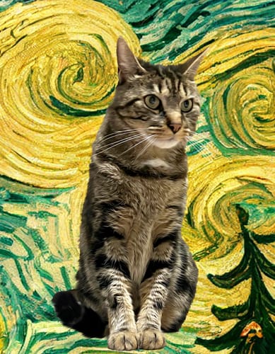 Customer photo review of Portrait Van Gogh