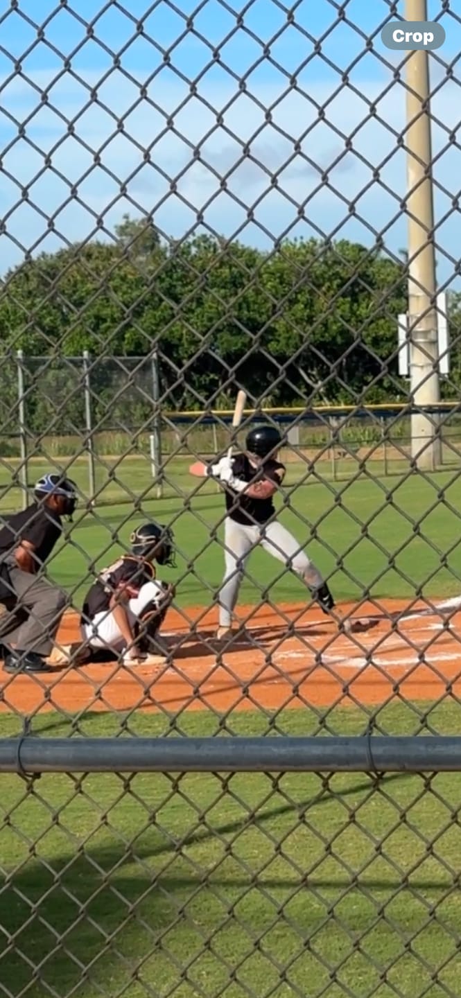 Customer photo review of The Original Pine Tar Bat™