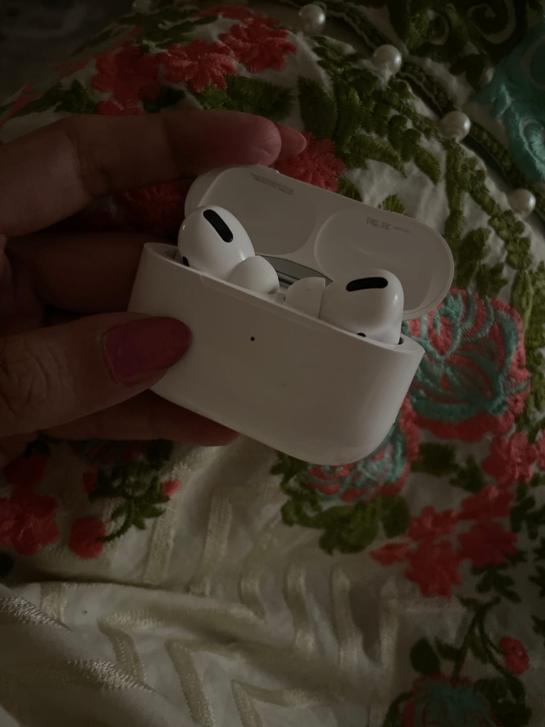 Customer photo review of AirPods Pro Titanium