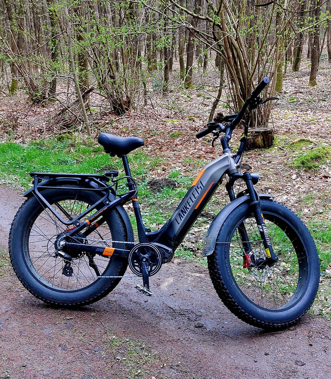 Customer photo review of Multifunctional Colorful Display For Lankeleisi MG600 Plus/RV700/RV800 Plus Electric Bike