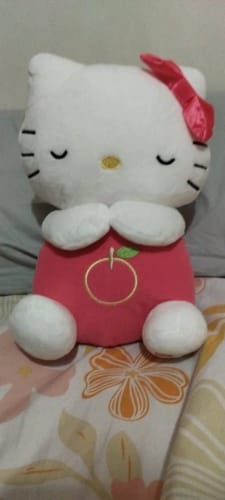 Customer photo review of Kalmerende Kitty™ - Verminder angst & Verbeter slaap