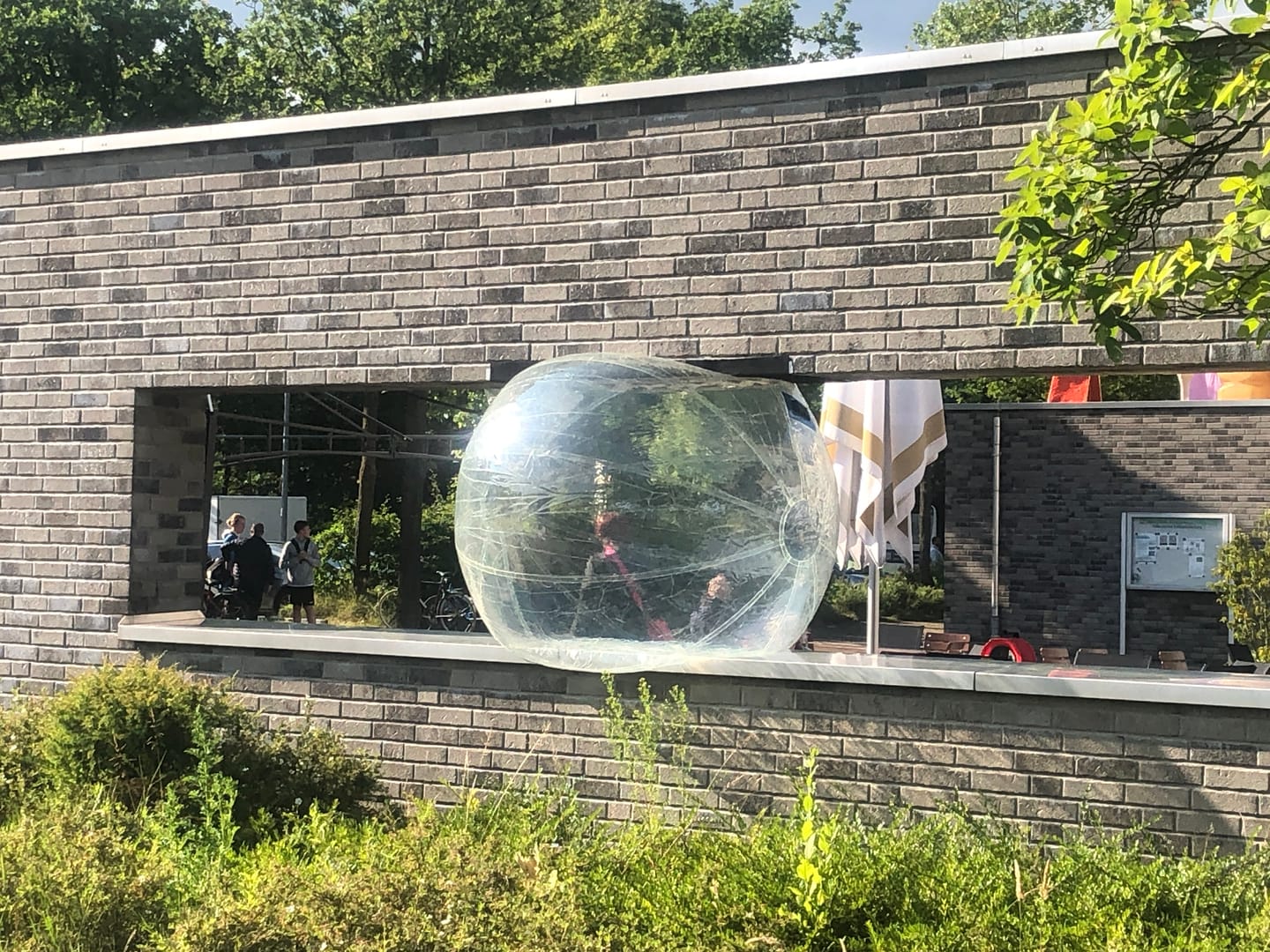 Customer photo review of Water Walking Ball - original by Lauf!Ball