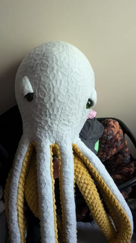 Customer photo review of The Octopus