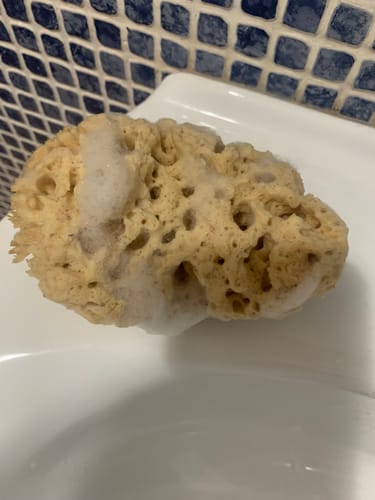 Customer photo review of Face Care Natural Sea Sponges