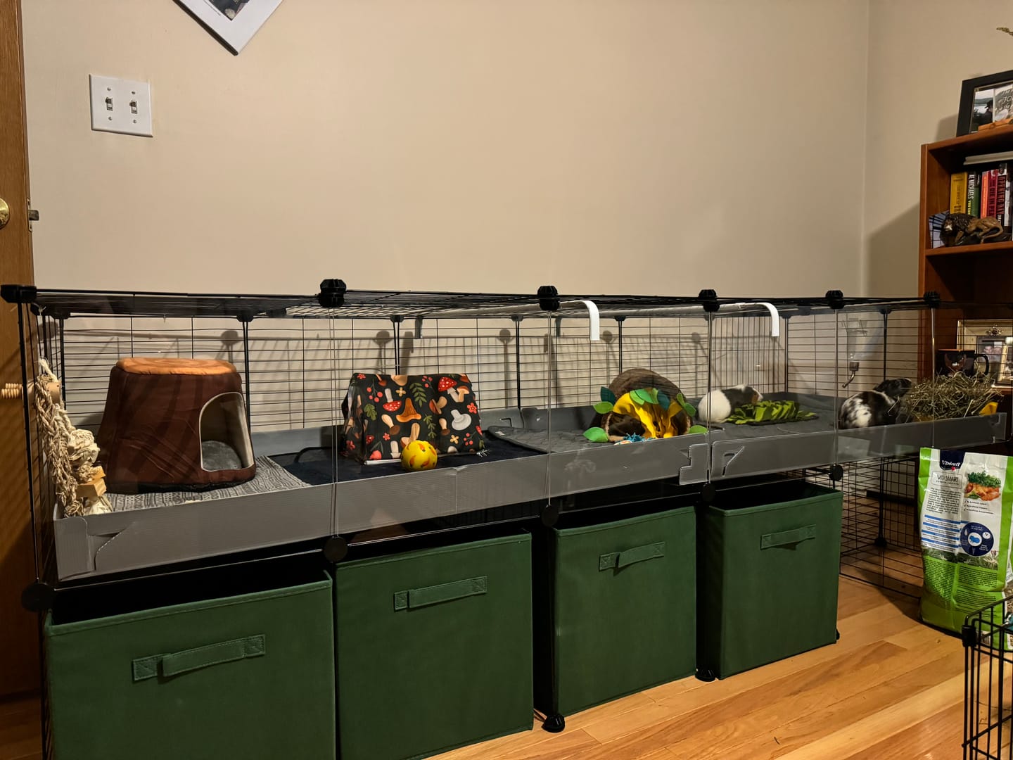 Customer photo review of 6x2 Clear C&C Cage with Stand