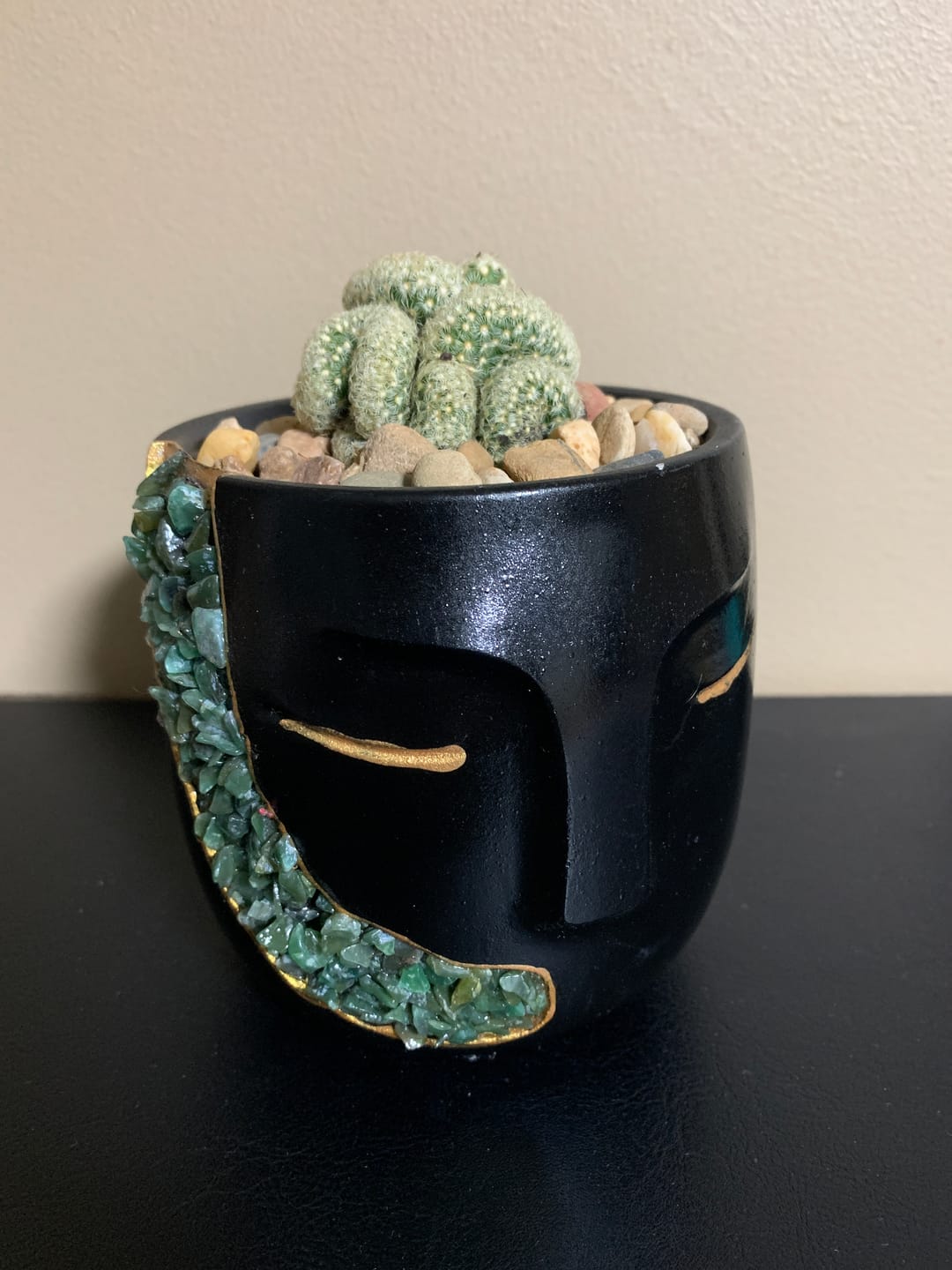 Customer photo review of The Brain Cactus - Mammillaria elongata f. cristata