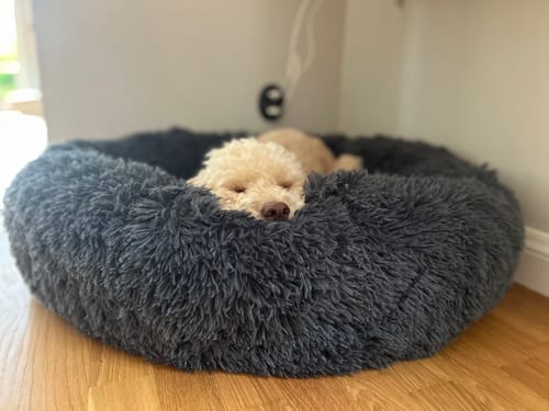 Customer photo review of CalmBed - Motverkar stress & hjälper mot ångest