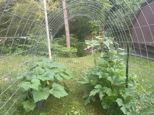 Customer photo review of Fabric Raised Beds for Gardening by Grassroots (Living Soil)