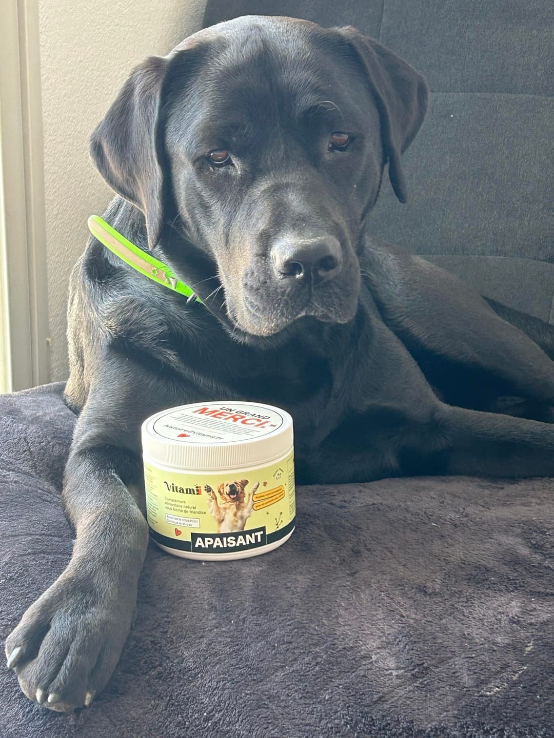 Customer photo review of Friandises Naturelles Apaisantes