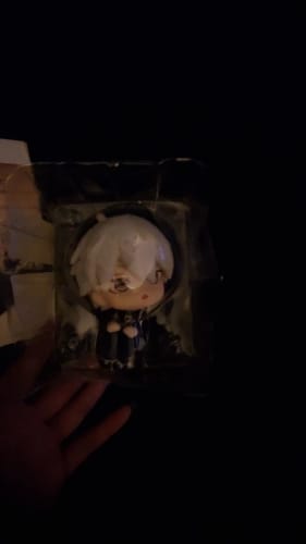 Customer photo review of Figurines Pop - BlueLock