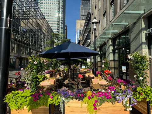 Customer photo review of 18" x 60" Raised Garden Bed