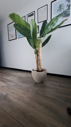 Customer photo review of Kunst Bananenplant Serie B 150cm