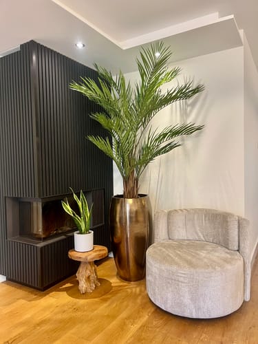 Customer photo review of Kentia Kunstpalm 150cm