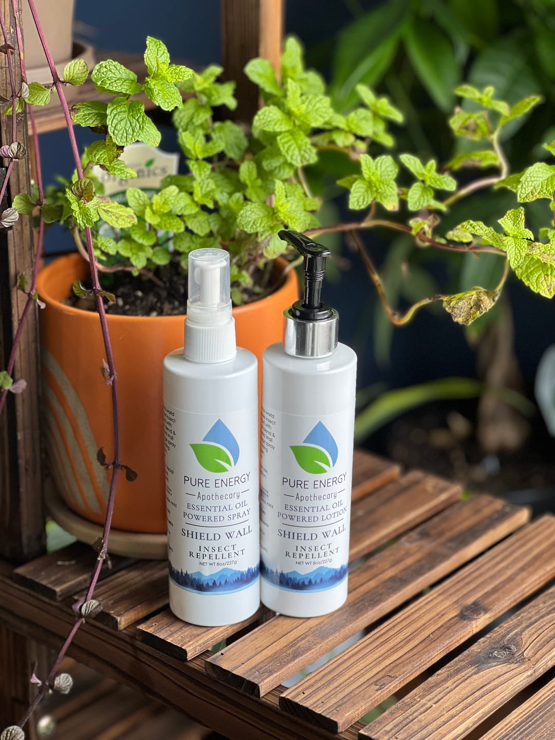 Customer photo review of Shield Wall Insect Repellent Spray