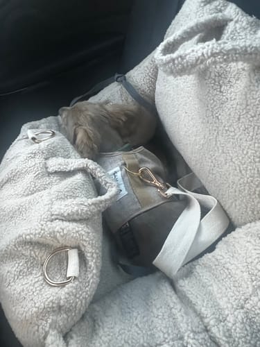 Customer photo review of Hazelnut | The Cosy Car Seat