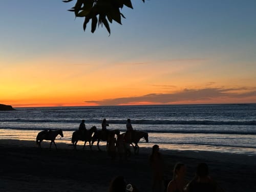 Customer photo review of Café Hacienda Doka Peaberry AA