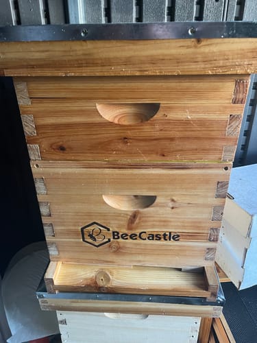 Customer photo review of BeeCastle Hives 8 Frame 2 Layer Complete Langstroth Bee Hive Coated with 100% Beeswax Includes Beehive Frames and Waxed Foundations (1 Deep Box & 1 Medium Box)