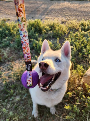 Customer photo review of Tundra Tug Toy