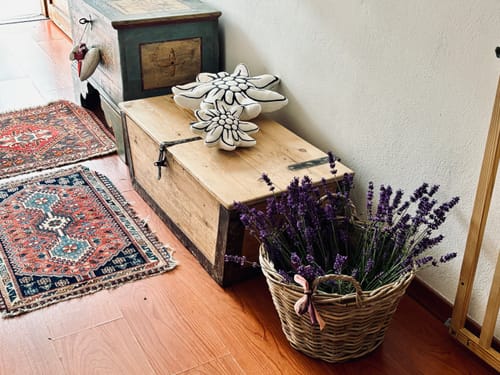 Recensione con foto di un cliente su Stella  ⭐️ Alpina